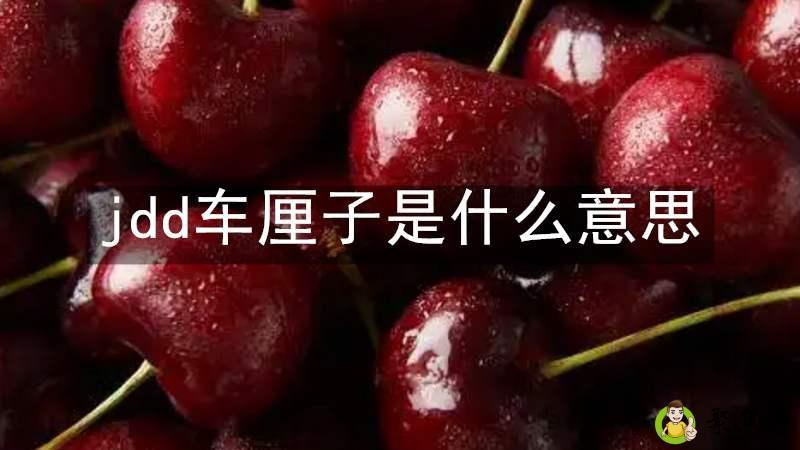 jdd车厘子是什么意思