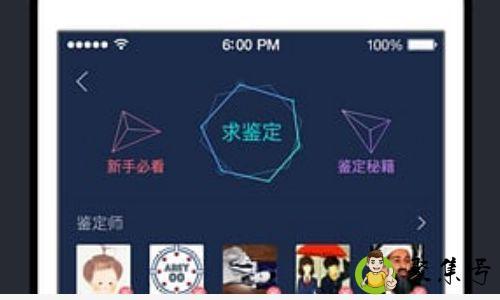 毒app极速发货什么意思