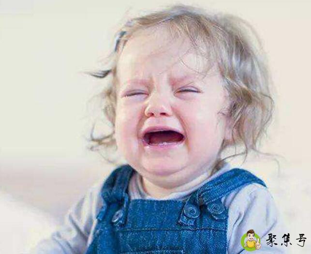 高需求宝宝特点