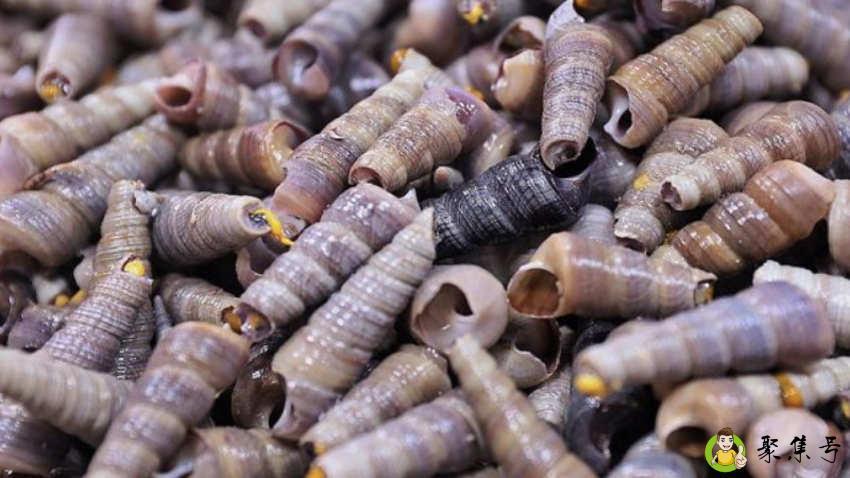 剪好的螺丝能隔夜吗