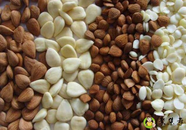 南杏仁和北杏仁的区别