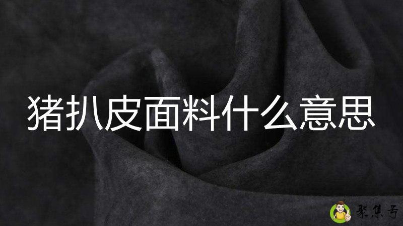 猪扒皮面料什么意思