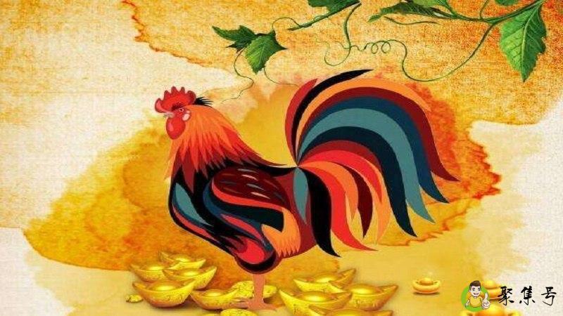 详细阅读:雨衣代表什么生肖 雨衣代表什么生肖