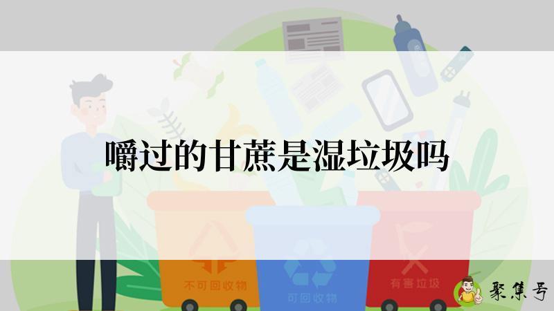 详细阅读:嚼过的甘蔗是湿垃圾吗 嚼过的甘蔗是湿垃圾吗