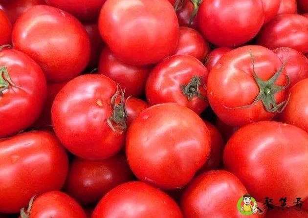 详细阅读:西红柿蒸着吃有营养吗 西红柿蒸着吃有营养吗
