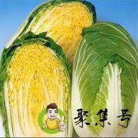 详细阅读:黄芽白和大白菜的区别 黄芽白和大白菜的区别