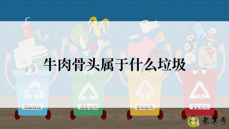 详细阅读:牛肉骨头属于什么垃圾 牛肉骨头属于什么垃圾
