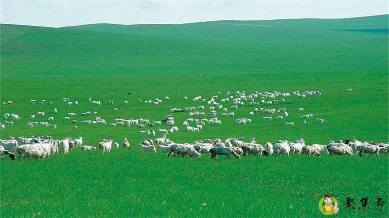 详细阅读:草原之夜五六寻打一肖 草原之夜五六寻打一肖