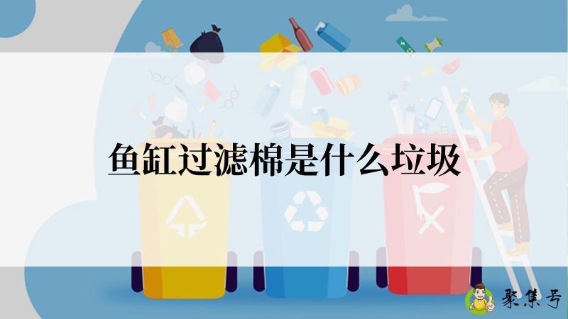 详细阅读:鱼缸过滤棉是什么垃圾 鱼缸过滤棉是什么垃圾