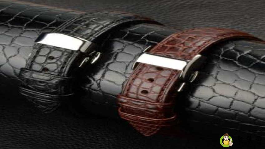 详细阅读:鳄鱼皮表带保养 鳄鱼皮表带保养