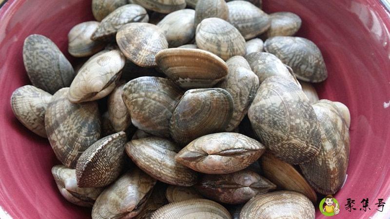 详细阅读:蛤蜊怎么保存过夜 蛤蜊怎么保存过夜