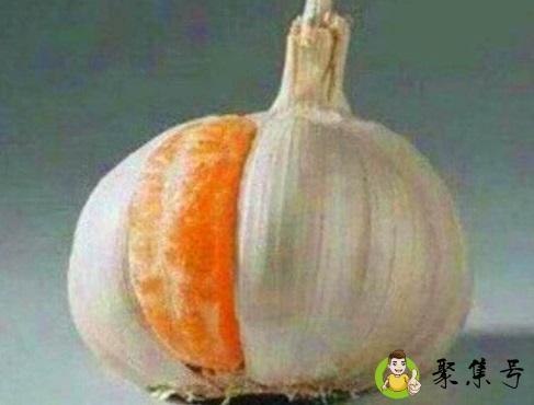 详细阅读:橘子装蒜什么意思 橘子装蒜什么意思