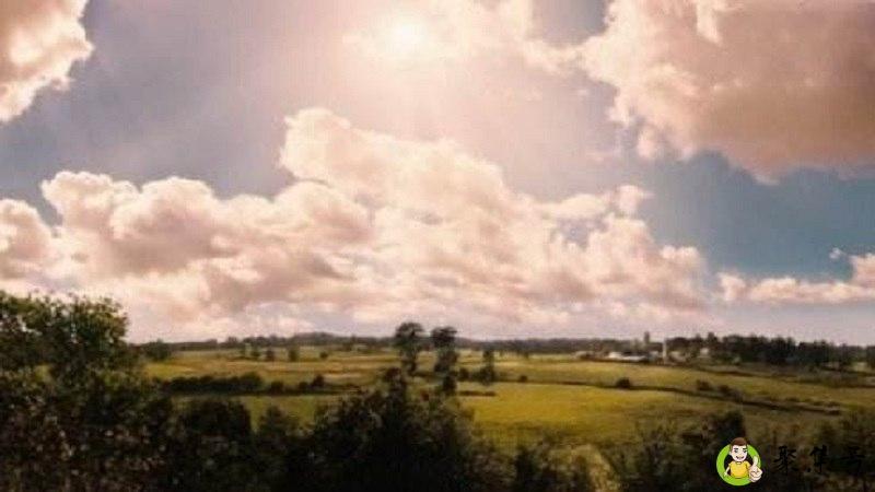 详细阅读:初见乍欢久处仍怦然是什么意思 初见乍欢久处仍怦然是什么意思