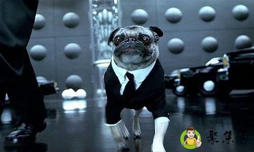 详细阅读:黑衣人2结局什么意思 黑衣人2结局什么意思