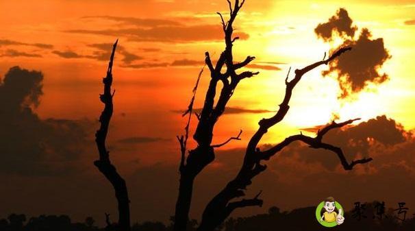 缅甸是哪个国家