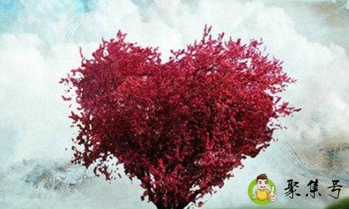 任从尔心什么意思