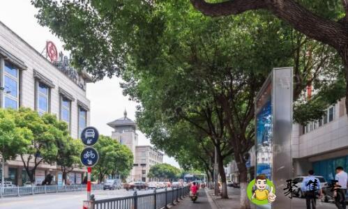 苏州养育巷是哪个区