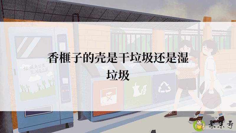 香榧子的壳是干垃圾还是湿垃圾