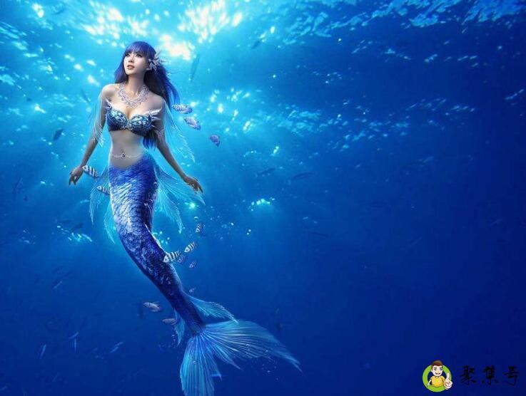 美人鱼的传说