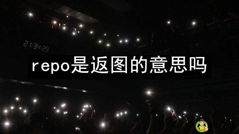 repo是返图的意思吗