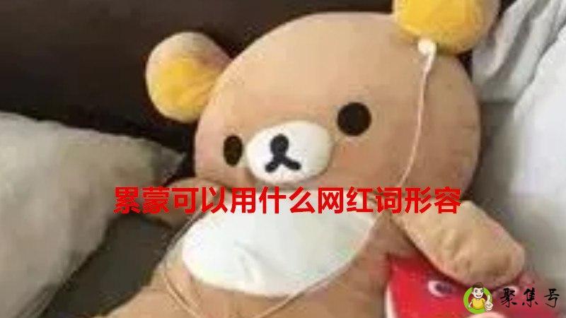 累蒙可以用什么网红词形容