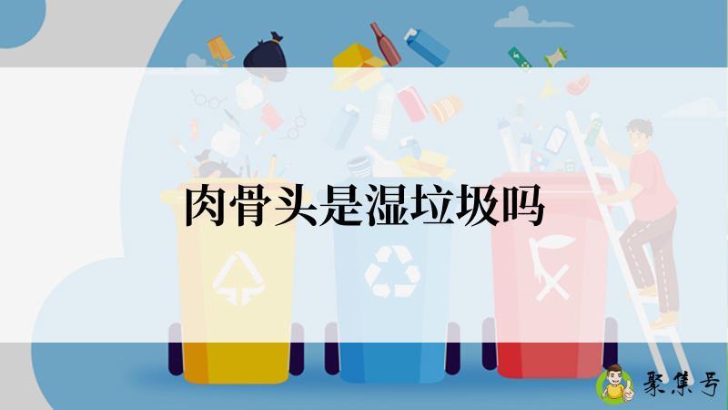 肉骨头是湿垃圾吗