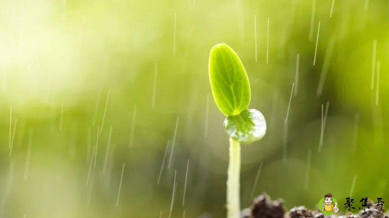 好雨知时节当春乃发生的意思