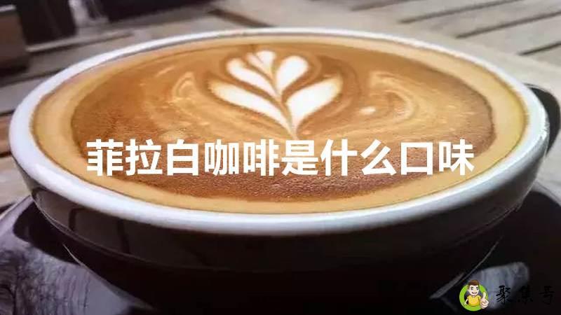 菲拉白咖啡是什么口味