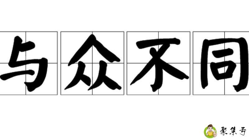 与众不同的意思