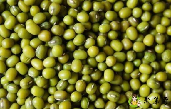 绿豆太多了可以做什么吃