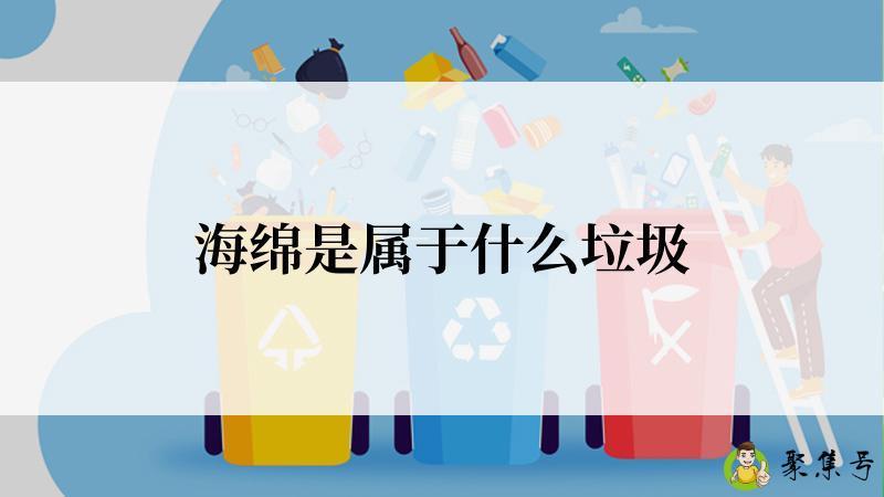 海绵是属于什么垃圾