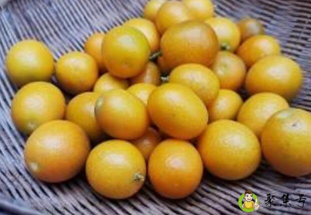 金桔是整个吃吗