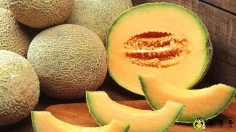 西州蜜和哈密瓜区别