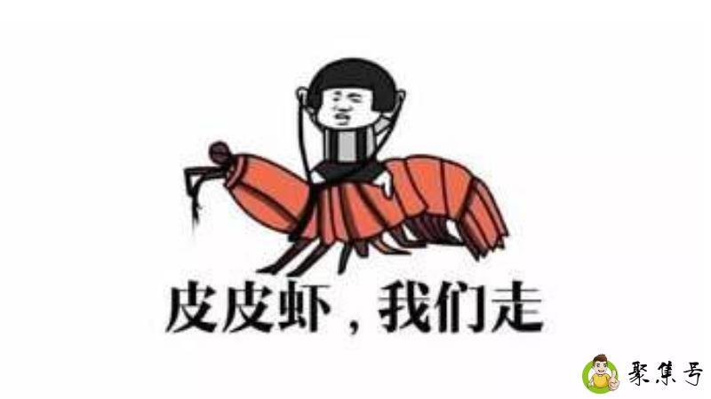 皮皮虾我们走什么意思