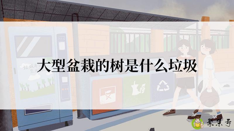 大型盆栽的树是什么垃圾