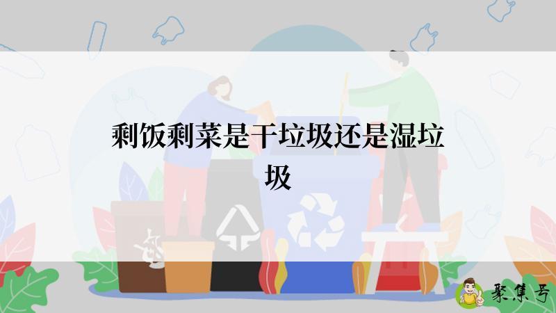 剩饭剩菜是干垃圾还是湿垃圾