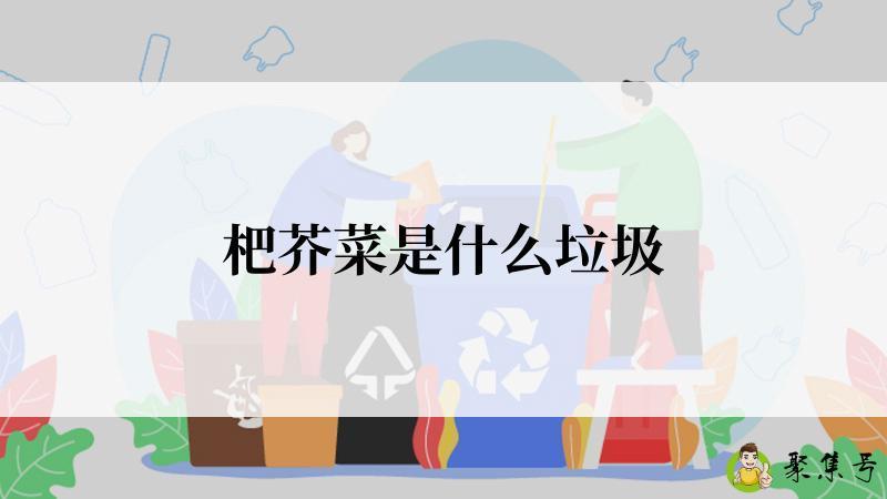 杷芥菜是什么垃圾