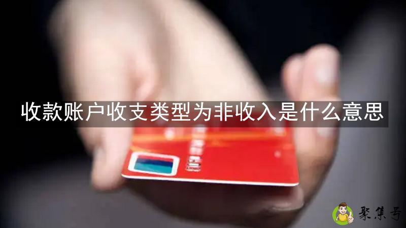 收款账户收支类型为非收入是什么意思