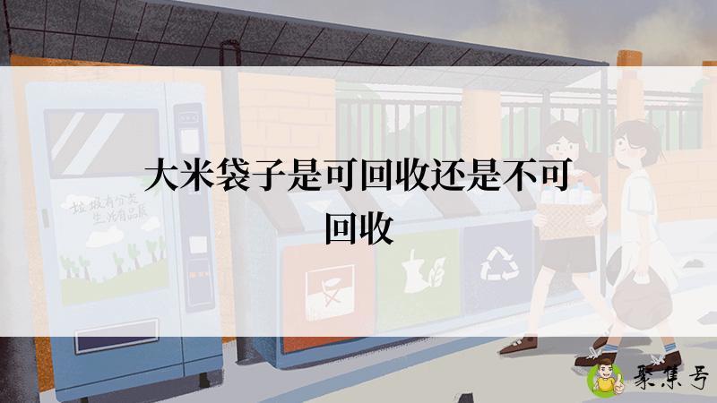 大米袋子是可回收还是不可回收