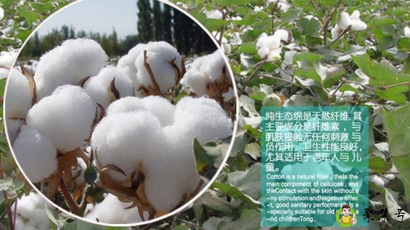 植物棉和纯棉的区别