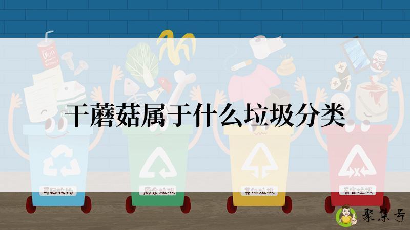 干蘑菇属于什么垃圾分类