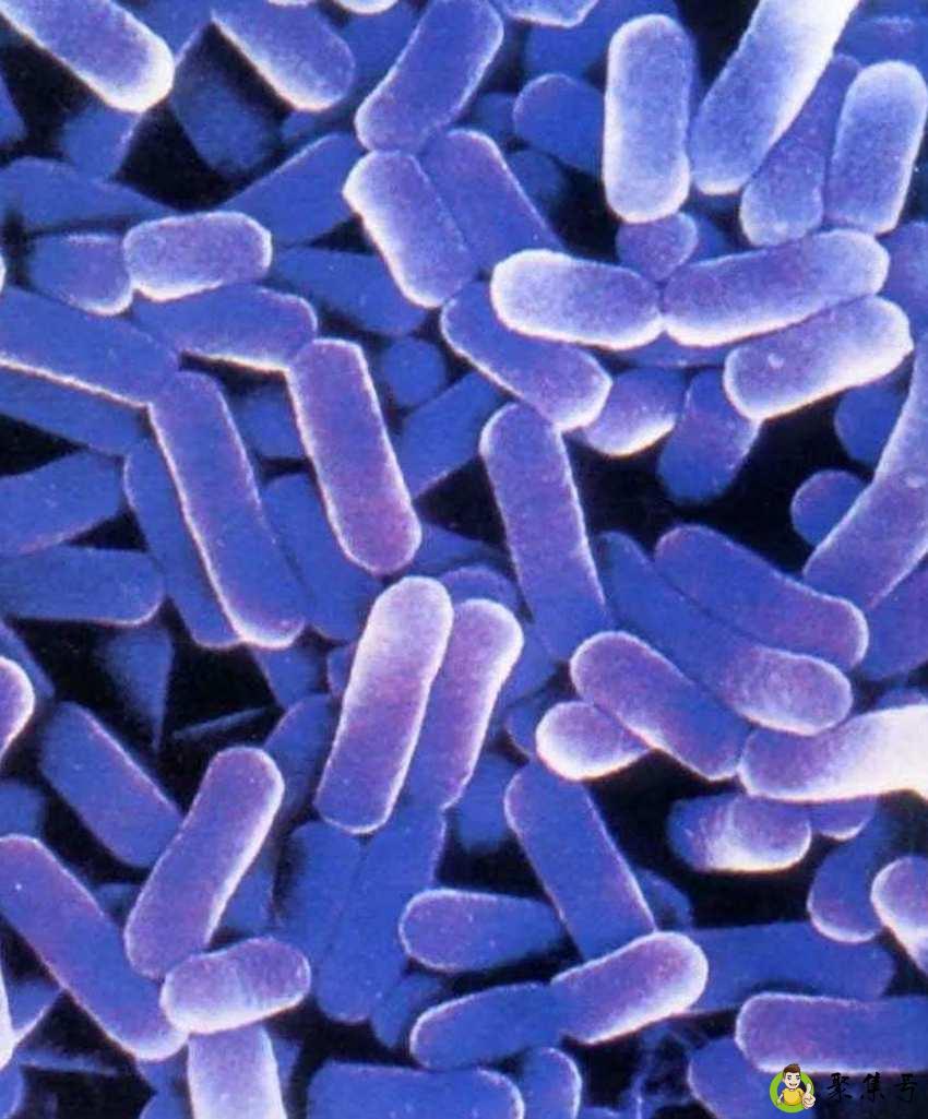 详细阅读:乳酸是什么东西 乳酸是什么东西