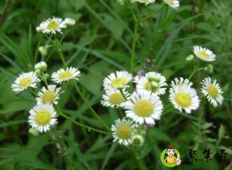 详细阅读:潮汕话哇浪是什么意思 潮汕话哇浪是什么意思