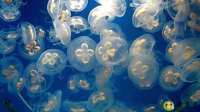 详细阅读:在自然资源的分类中空气属于什么 在自然资源的分类中空气属于什么