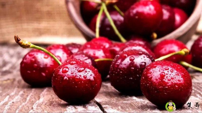 车厘子l代表什么意思