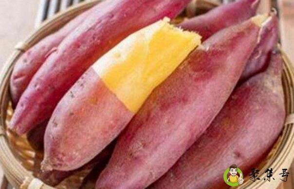 天目山小香薯几月上市