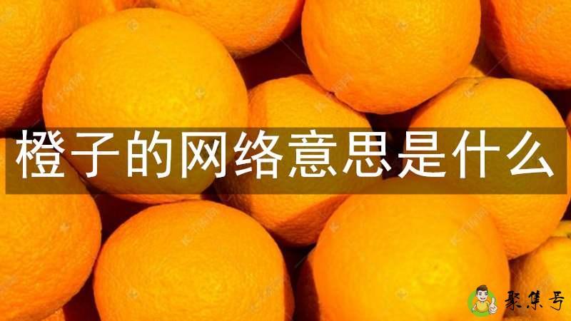橙子的意思是什么