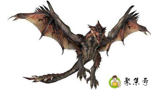 飞龙是什么动物