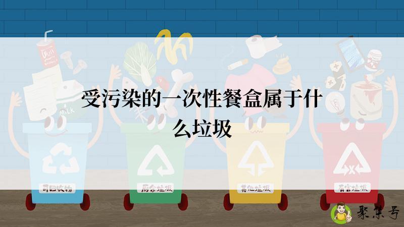 受污染的一次性餐盒属于什么垃圾