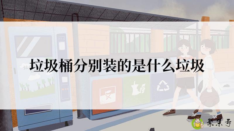垃圾桶分别装的是什么垃圾